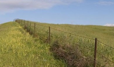 Field and Fence